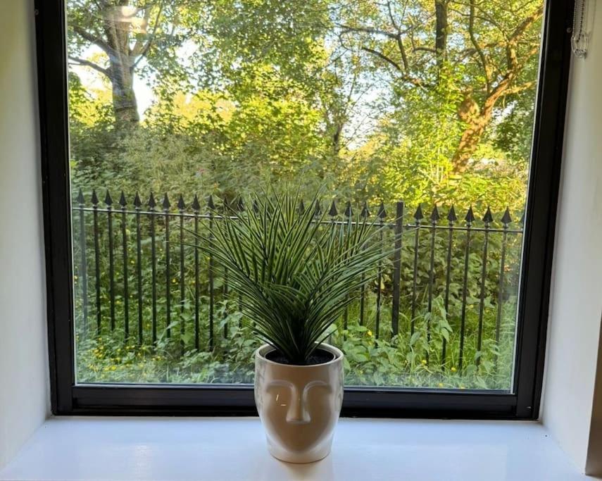 Polly'S Place Apartment Taunton & Free Off Road Parking & Wifi 외부 사진